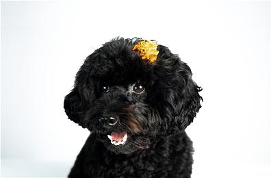 马东锡或参演《死亡搁浅2》 小岛晒出合影